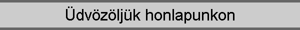 dvzljk honlapunkon