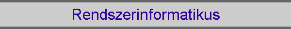 Rendszerinformatikus