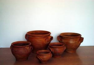 Portugál bordásfüles kaspó