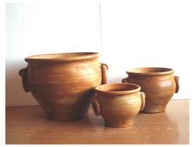 Portugál karikafüles kaspó