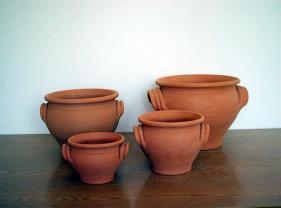 Portugál bordásfüles kaspó