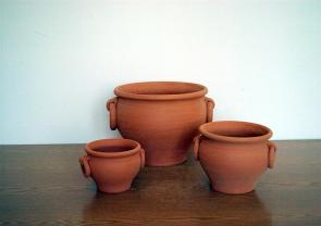 Portugál karikafüles kaspó