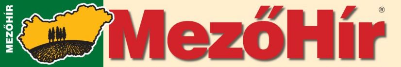 MezőHír