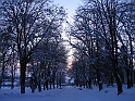 IMG_8580+1