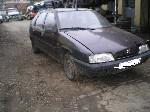 citroen zx